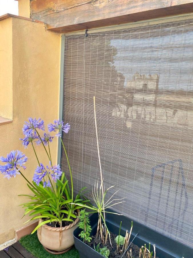 Tresors De La Cathedrale, Maison De Ville Sur 4 Niveaux Narbonne Dış mekan fotoğraf